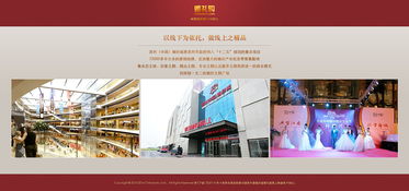 從構(gòu)想到上線 網(wǎng)站設(shè)計與建設(shè)的完整指南